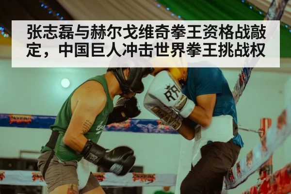 张志磊与赫尔戈维奇拳王资格战敲定,中国巨人冲击世界拳王挑战权