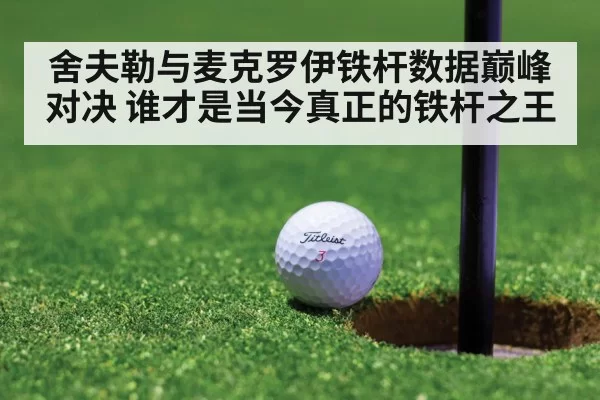 舍夫勒与麦克罗伊铁杆数据巅峰对决 谁才是当今真正的铁杆之王